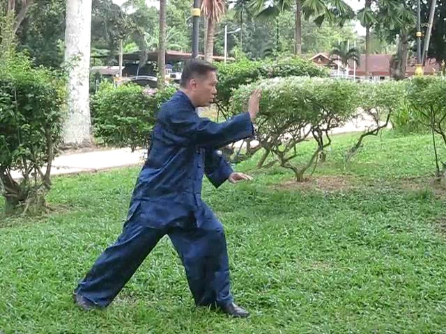 Wu Yu Xiang Style Taijiquan